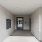 New! Exclusive Eur Apartment
